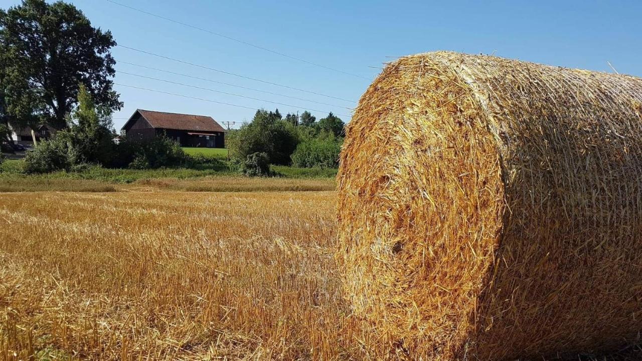 Folwark Tumiany Pokoje & Restauracja Exteriör bild