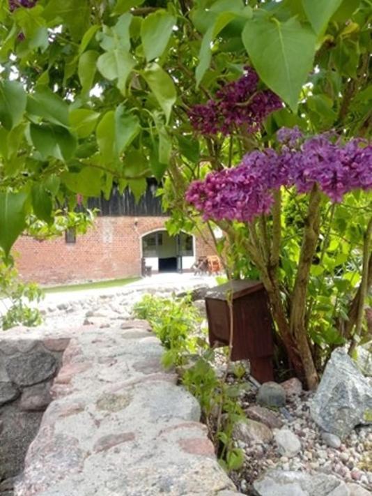 Folwark Tumiany Pokoje & Restauracja Exteriör bild